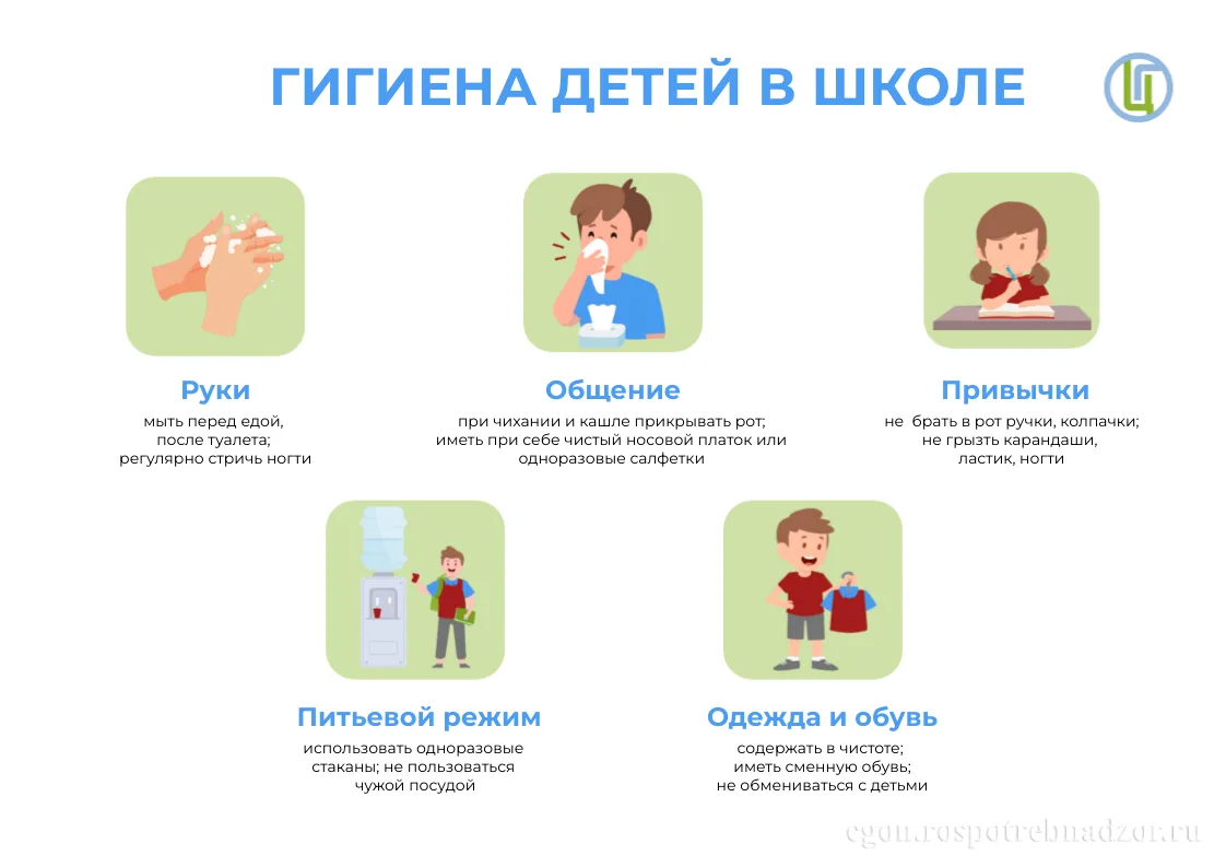 Когда готовить ребенка к школе?