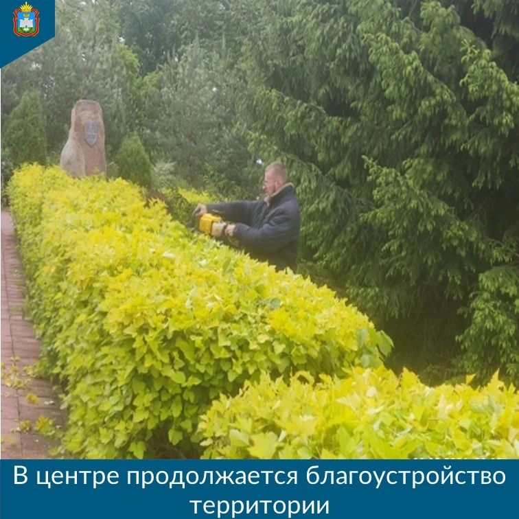 ✅В областном геронтологическом центре продолжается благоустройство территории.