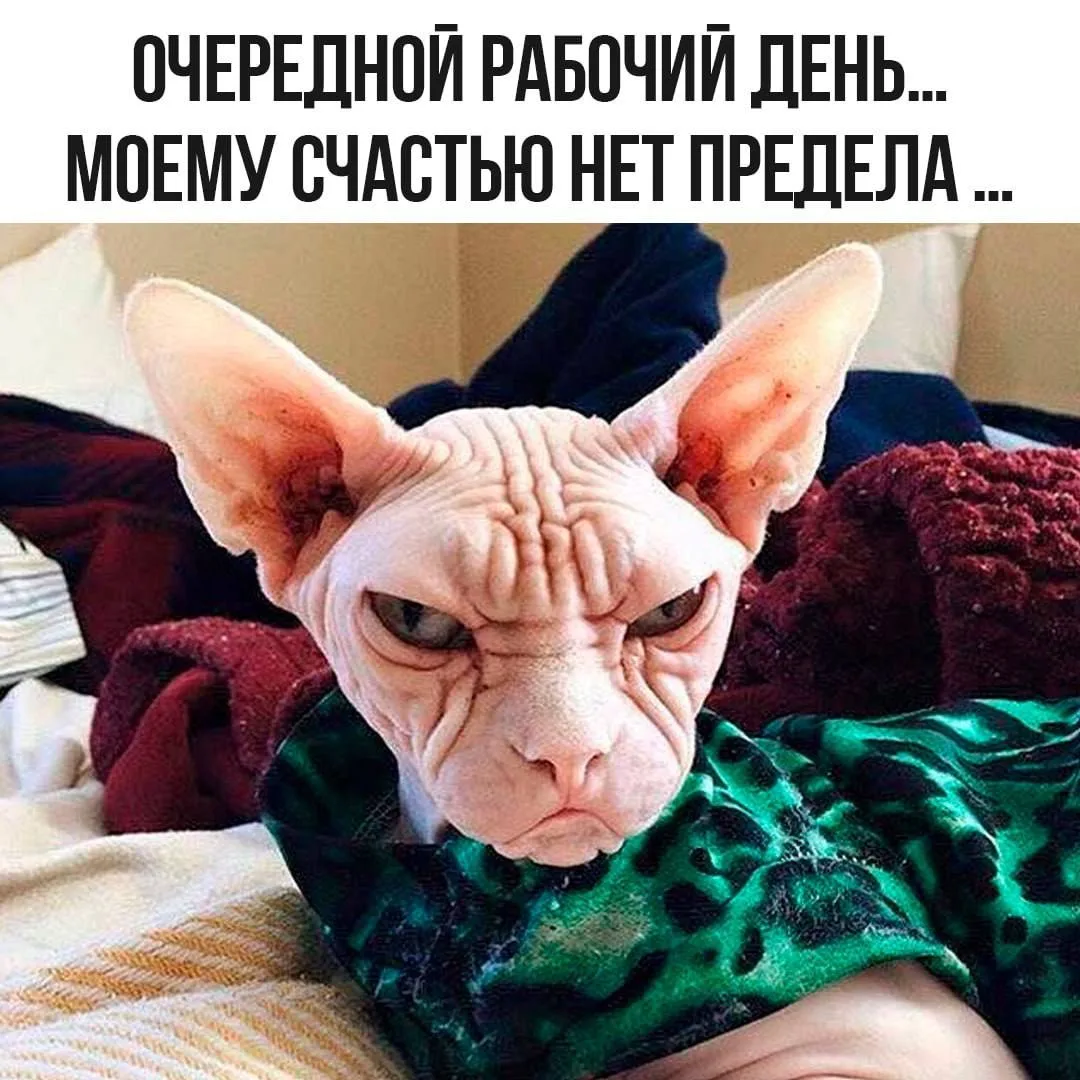 Ура, на работу😂☀