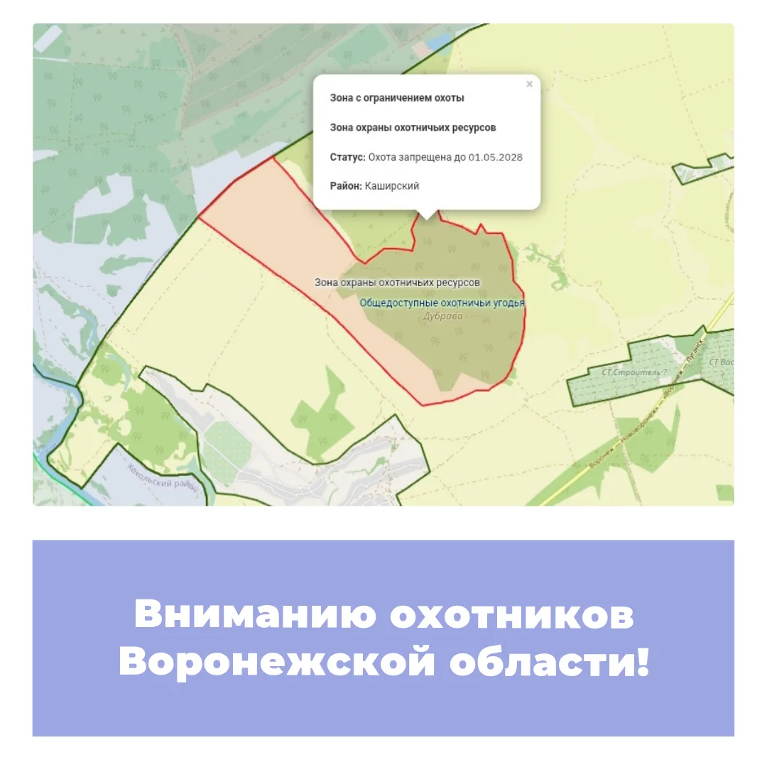 Вниманию охотников Воронежской области!