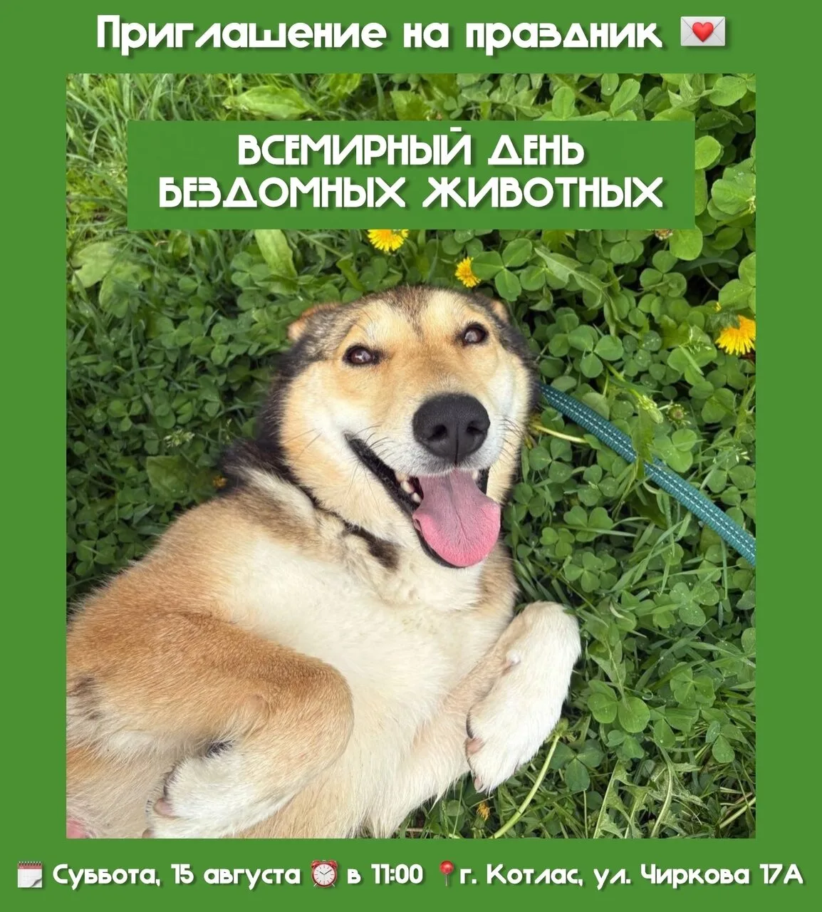 Котлпшан приглашают на праздник 😃