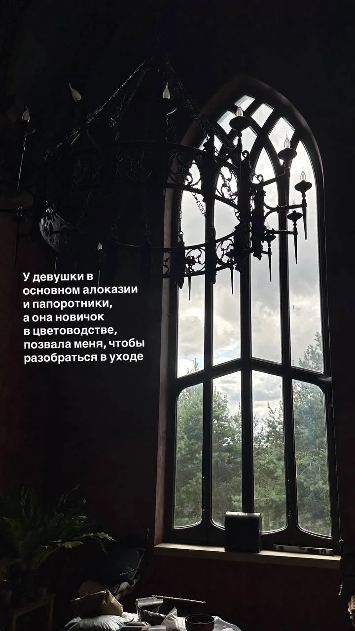 На днях пересаживала растения в настоящем замке 🏰