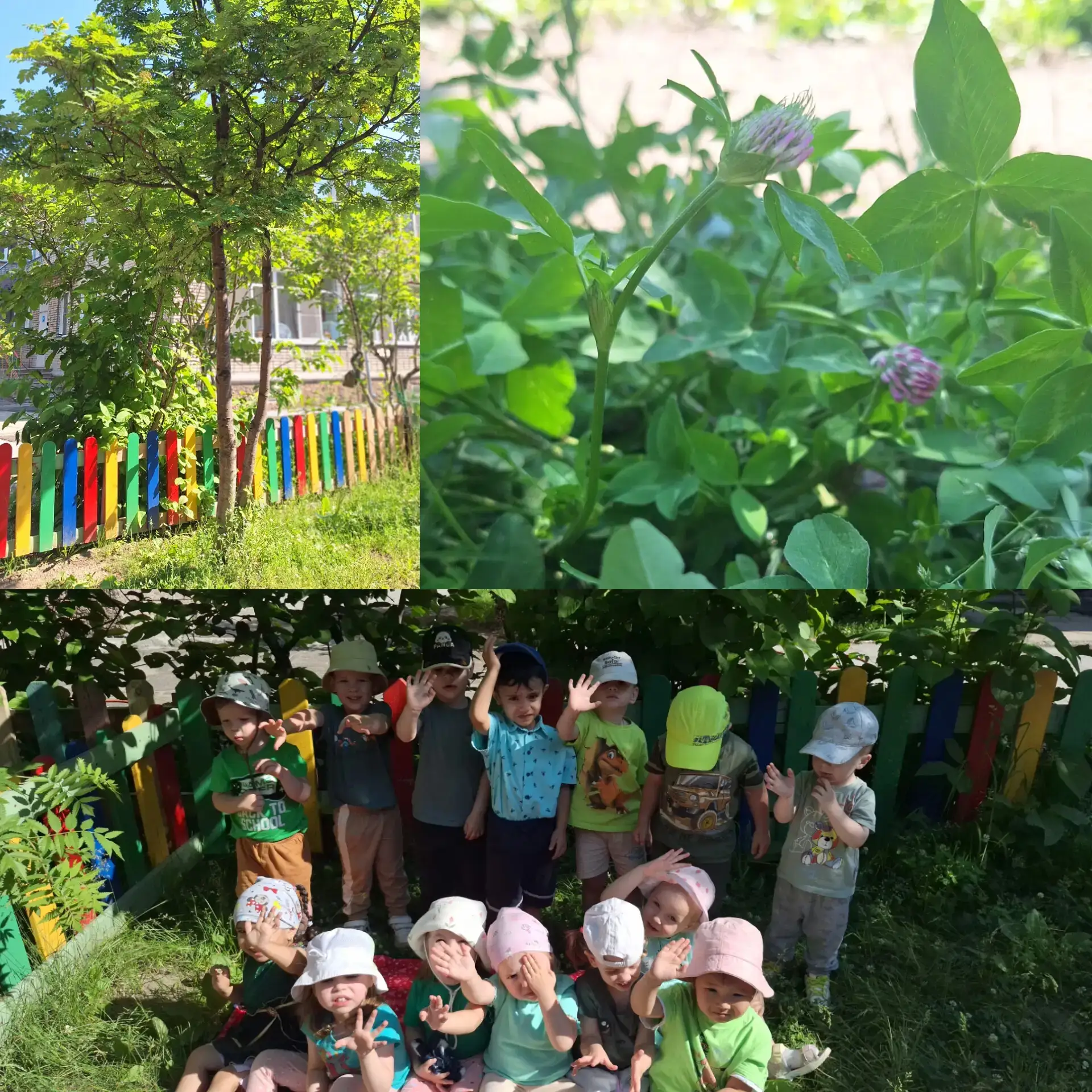 🌿 Неделя природы России продолжается🌳.
Солнечно, тепло, и наши ребята проводят на улице максимум в