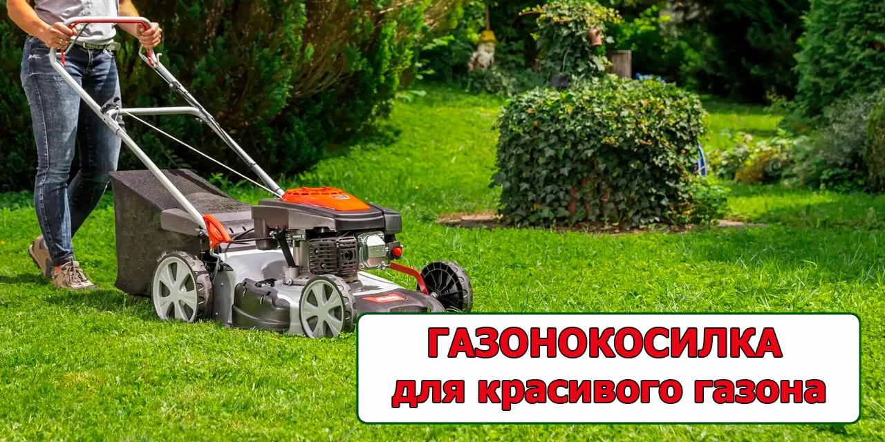 После дождя трава растет быстро и с удовольствием!
Наведите порядок на участке, возьмите газонокосил