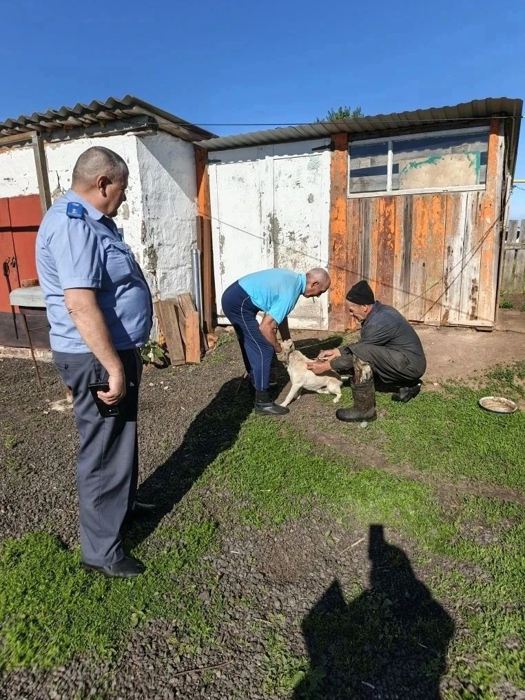Специалисты эпизоотического отряда в присутствии начальника Алексеевского ТО ГУВ КМ РТ ...