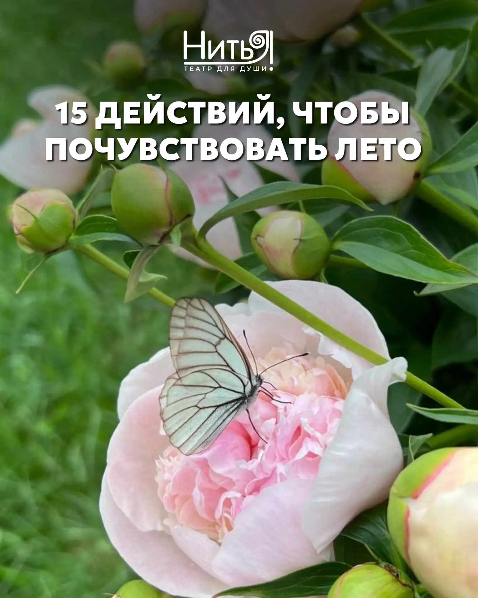 Самое короткое лето — то, которое мы не заметили.

15 ХОРОШИХ ДЕЙСТВИЙ, НАПОЛНЯЮЩИХ ЛЕТНИЕ БУДНИ СОС