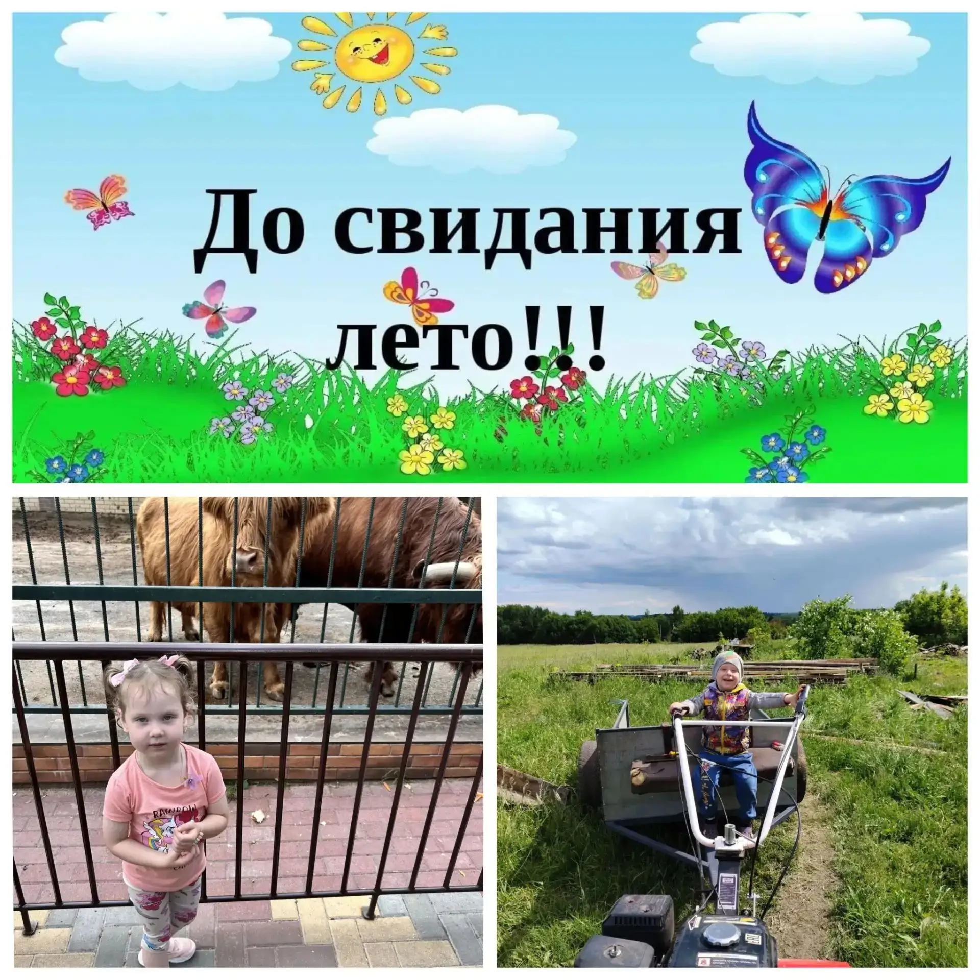 В средней группе детского сада  "Солнышко"прошло яркое итоговое мероприятие «До свидани...