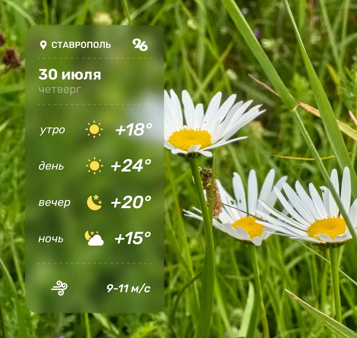 ⛅️ Доброе утро!

Погода в четверг, 30 июля.

Прогноз: Победа 26