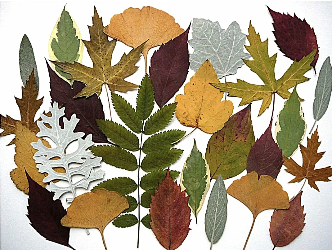 🍂Подборка осенних хобби, которые создадут уют и вдохновение: