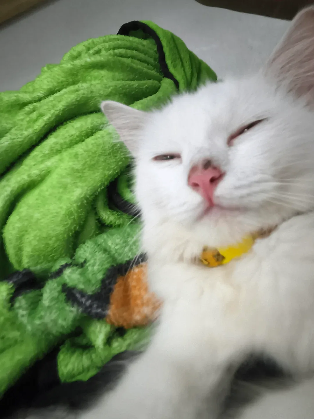 Следуем примеру 😺 Спокойной ночи, котятки 😸