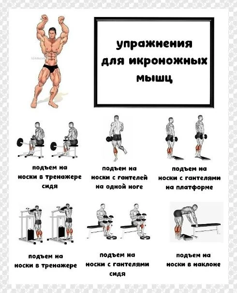 Подпишись на программы тренировок 🔥
