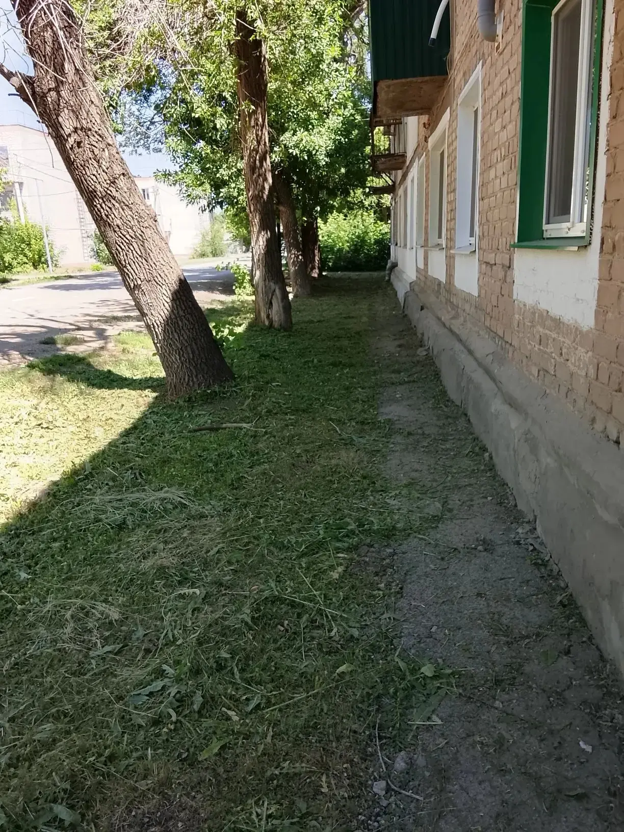За период с 9 по 14 июня работниками ООО "Ершовское" была выполнена следующая работа:

Ежедневные и 