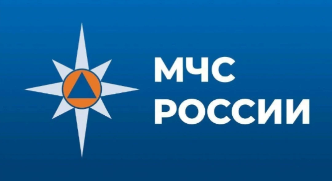 Отдел надзорной деятельности и профилактической работы по Чаплынскому МО Главного управления МЧС Рос