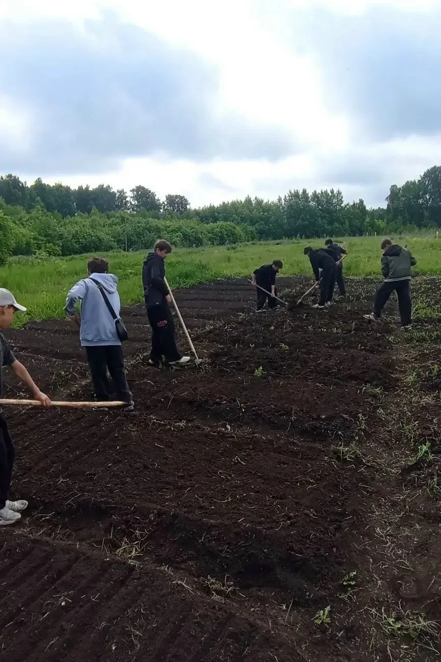 В трудовом лагере школы имени Хуснутдинова А. Г. с. Учалы   прошла дружная работа на пришкольном уча
