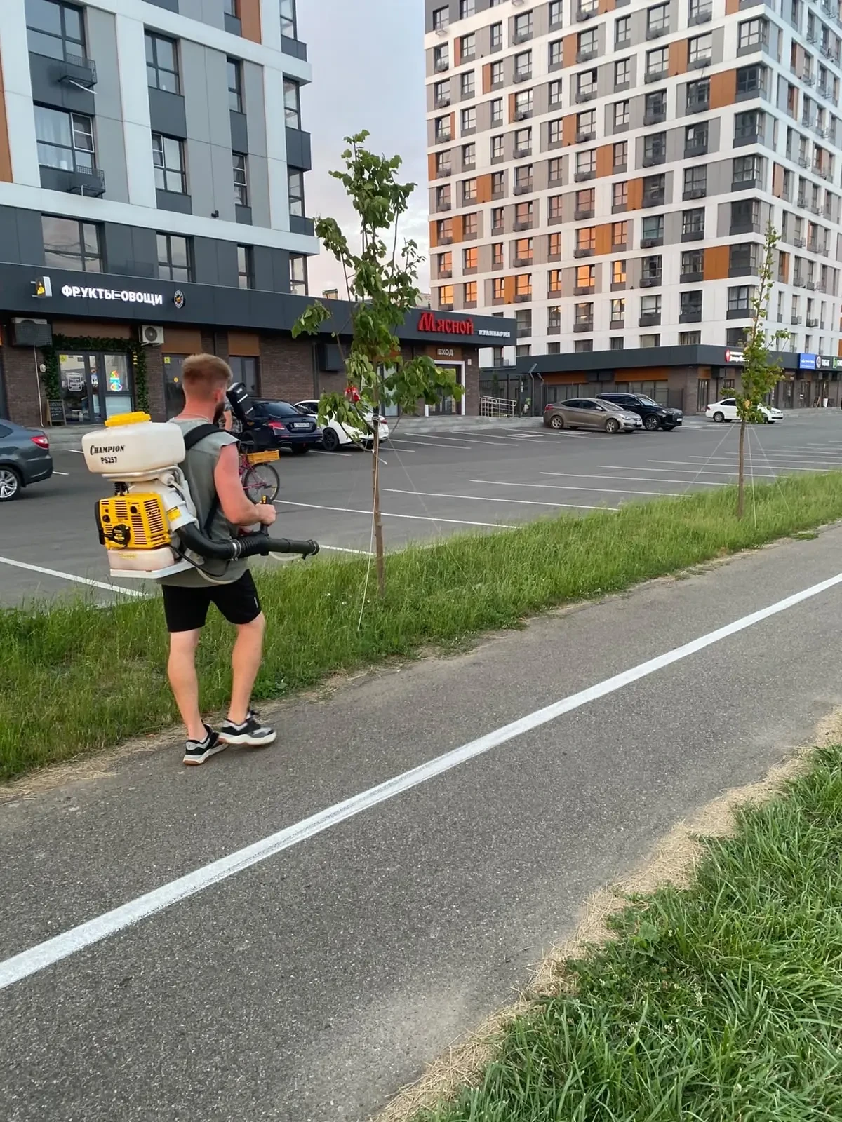 В рамках работ по содержанию зеленых насаждений проведена профилактическая обработка растений от гри