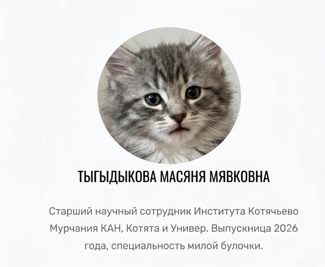 🐾 Мой опыт 80% мурчание, 20% тыгыдык

Работодатели такое читают и ищут дальше. А нормальные ваканси
