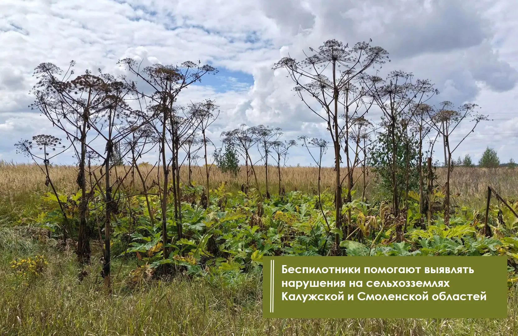 🔖 С 1 марта по 31 августа 2026 года специалисты Управления Россельхознадзора по Брянск...