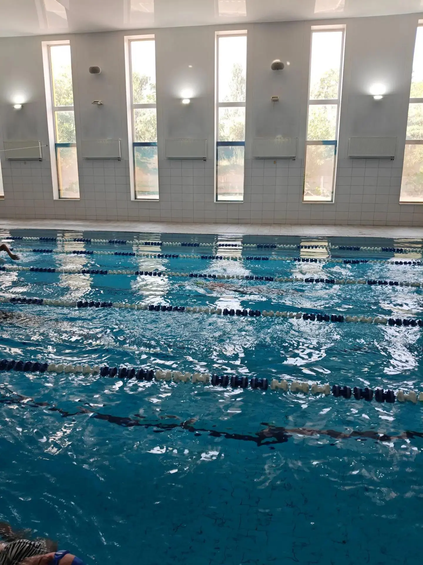 Учебно - тренировочный процесс по плаванию🏊‍♀🏊‍♂
