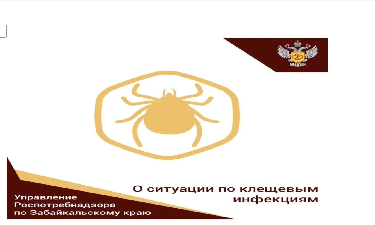 Роспотребнадзор мониторирует ситуацию с заболеваемостью КВЭ и укусами клещей на террито...
