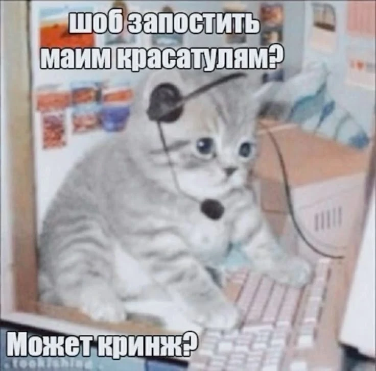 Максимальная мемошная начинается. Прошу особой мемдержки 💙