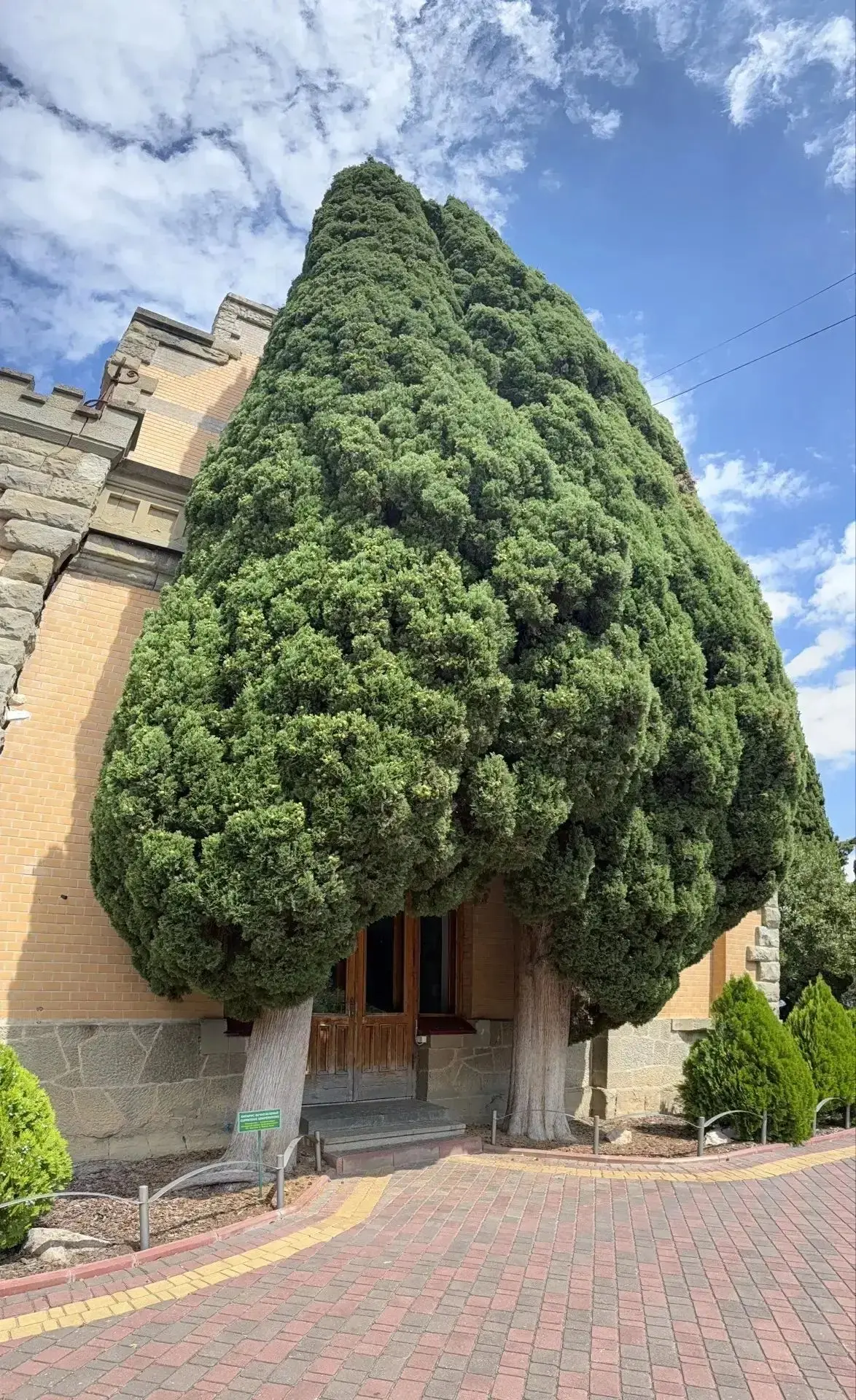 Сердце Гагариных.