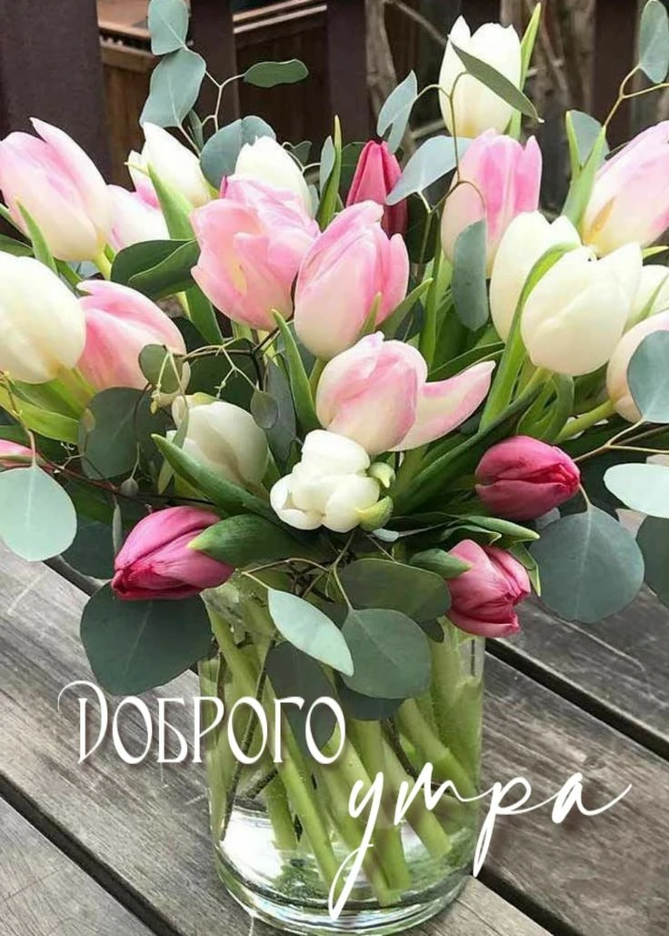Поздравления для Настроения💌