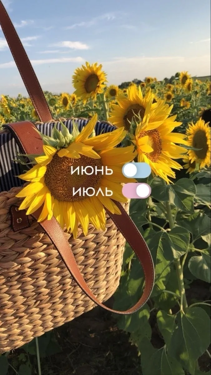 ☀️ Здравствуй, второй месяц лета!
Кажется, только вчера мы радовались первым тёплым дням, а уже прол