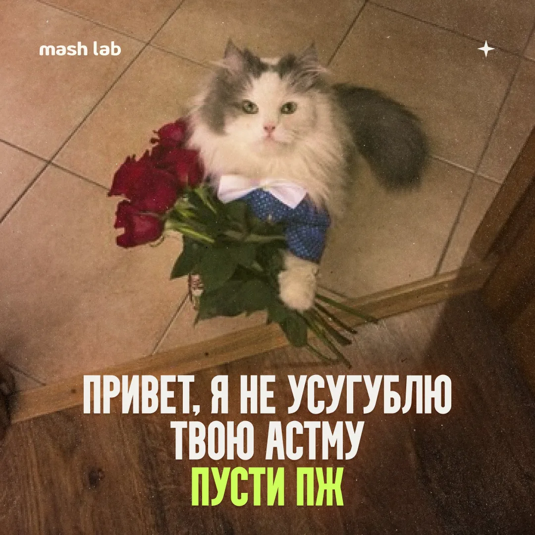 Родители детей-астматиков часто сразу же избавляются от кошек, боясь приступов у детей.

Но теперь н
