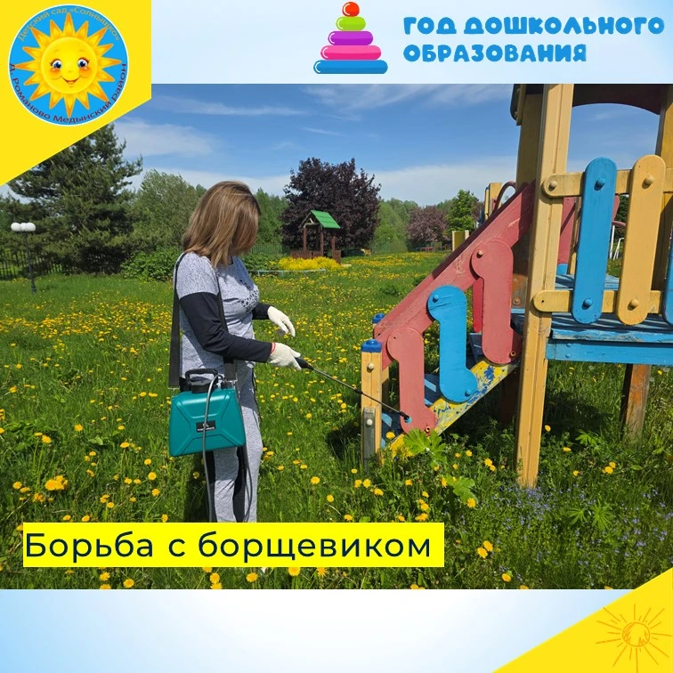 🔆Борьба с борщевиком  крайне важна, так как это растение представляет серьёзную опасно...