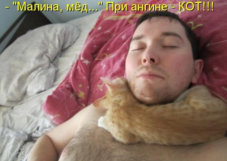 Пропал голос? Замотаю горло пуховым платком...  П: «Доктор, вчера горло как-то странно запершило, го