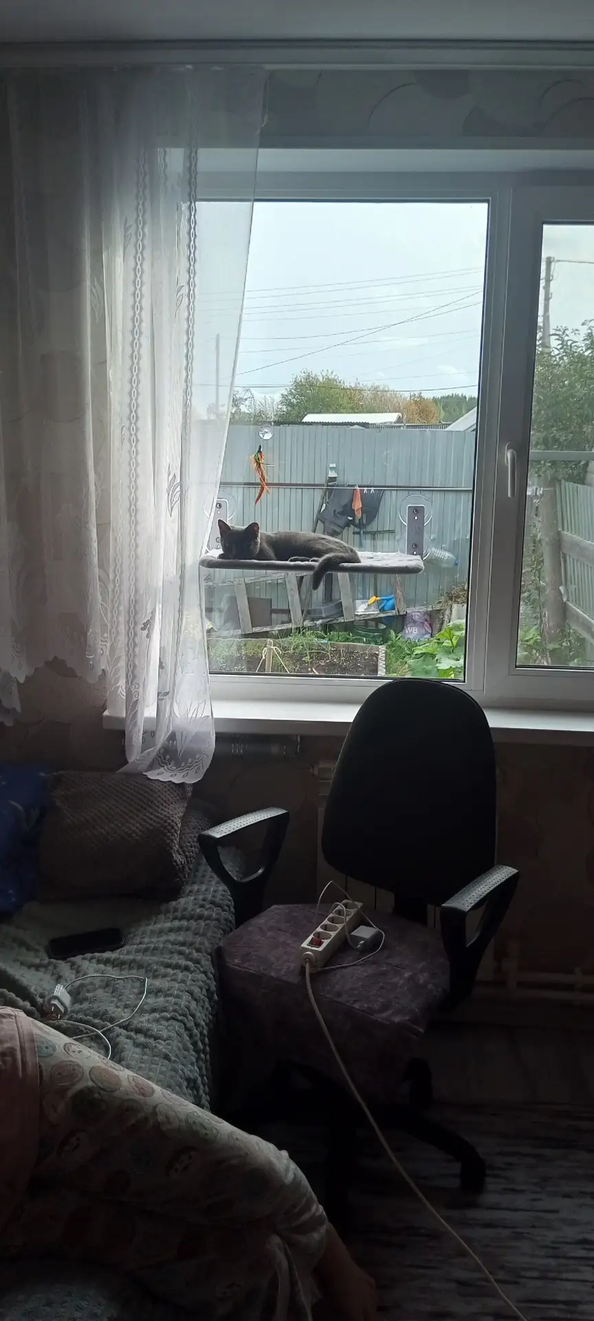 Здравствуйте