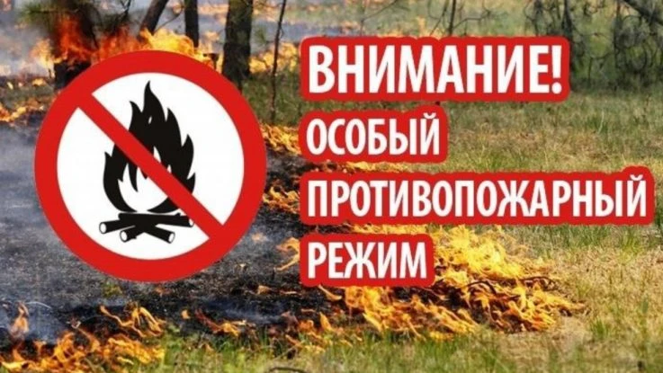 🔥 Одна искра — и огонь уже не остановить.