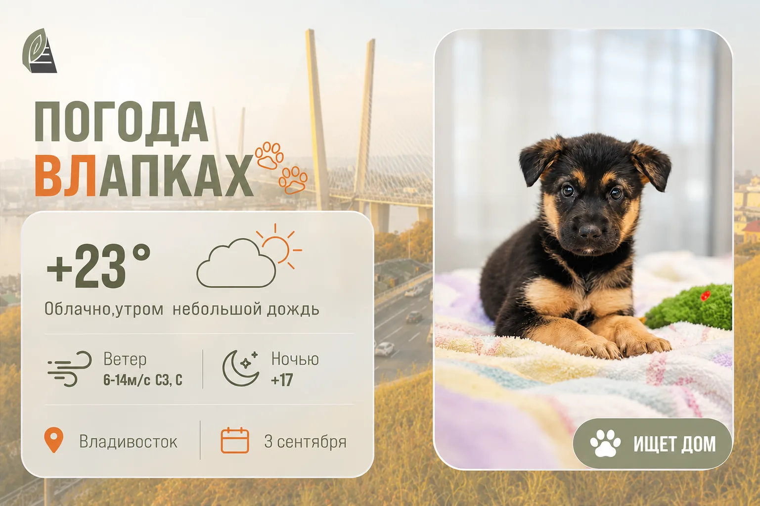 #ПогодаВЛапках