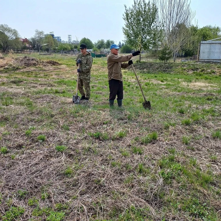 🌳 Амурчан просят помочь придумать название для нового парка, посаженного в селе под Благовещенском  
