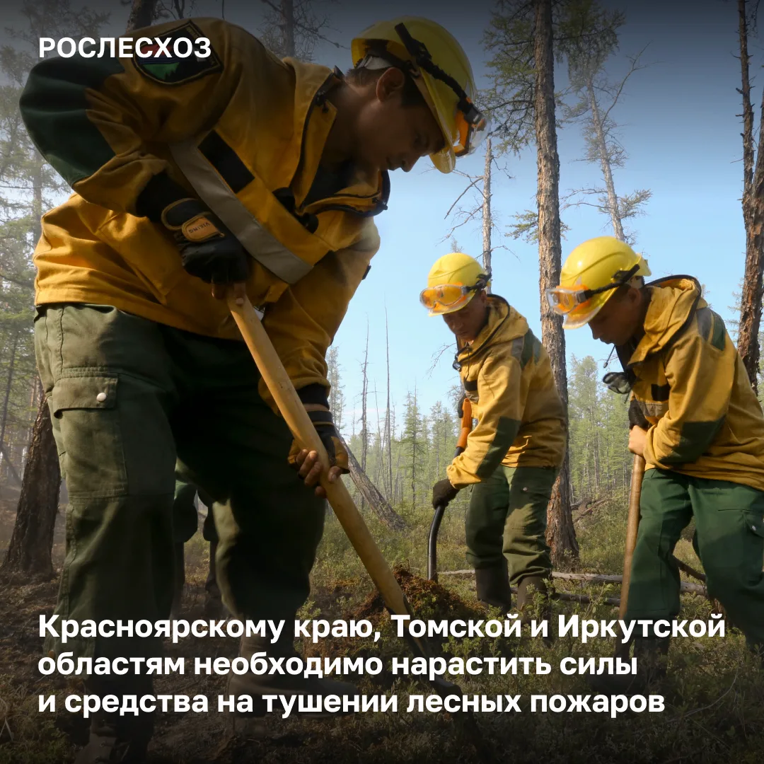 🟢 По данным на 06:00 мск 15 июня в России на землях лесного фонда тушат 158 лесных пожаров на площа