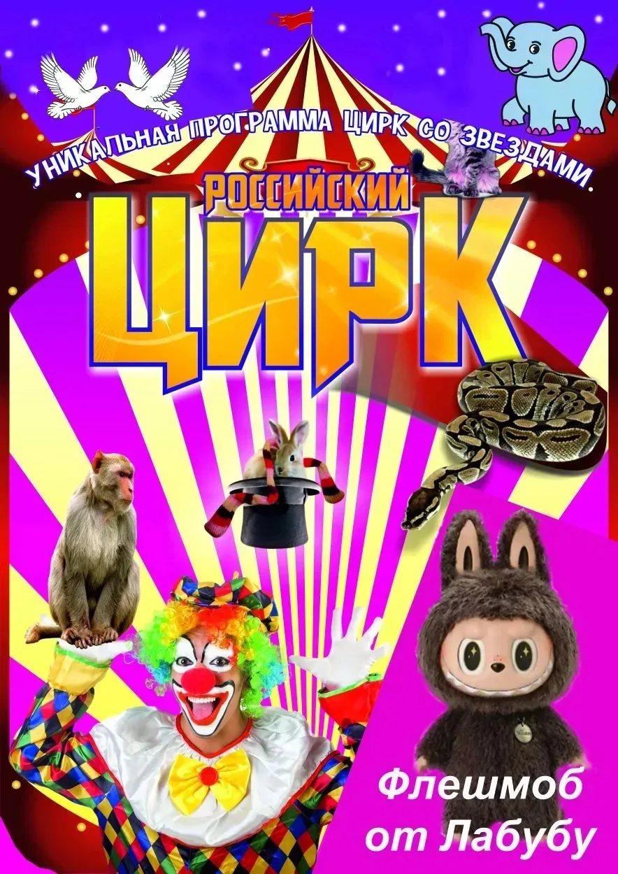 📢Гальбштадт, Встречайте!!! 
27 июня в 13.00 ч. 
В  Доме Культуры
У Вас в гостях Кемеровский цирк
,,