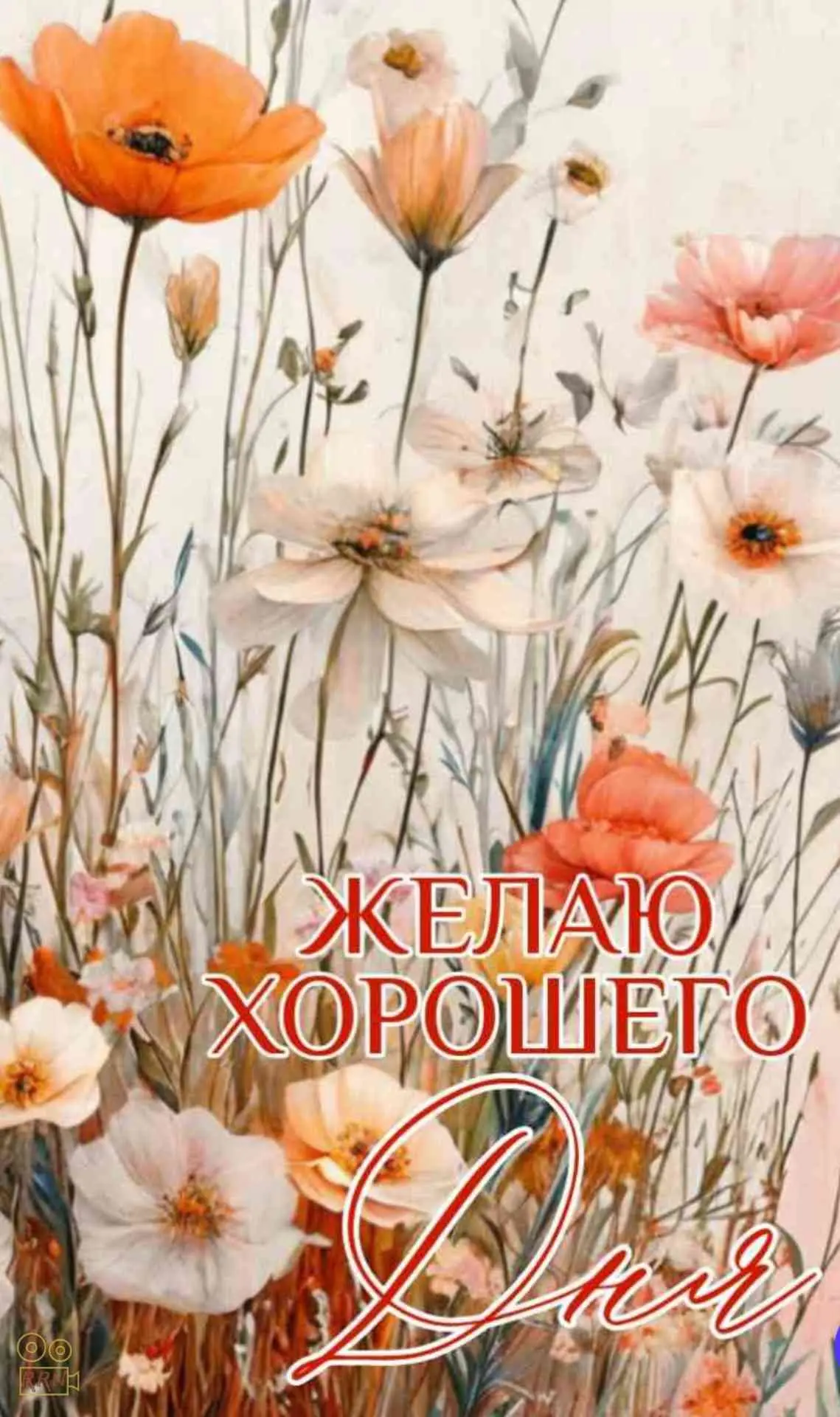 #хорошегодня