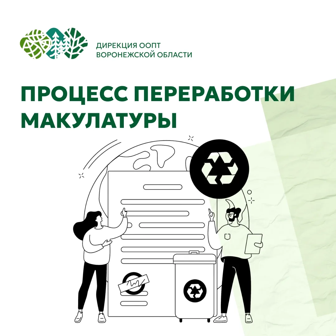 Дирекция ООПТ призывает всех к сортировке бумажных отходов, что может значительно улучш...