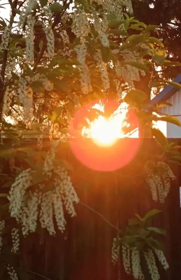 Доброе утро!  ☀️🎼
