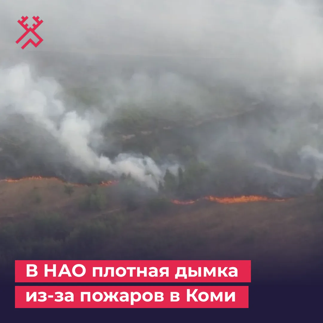 В Республике Коми сохраняется напряженная обстановка с лесными пожарами. На данный моме...