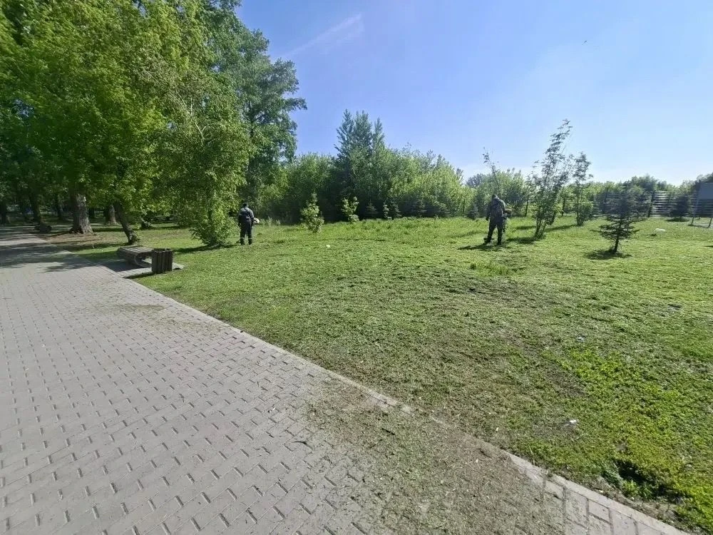 Рассказываем, какие работы по благоустройству ведутся в Бийске на этой неделе ⁣ 🌿Покос травы выполне