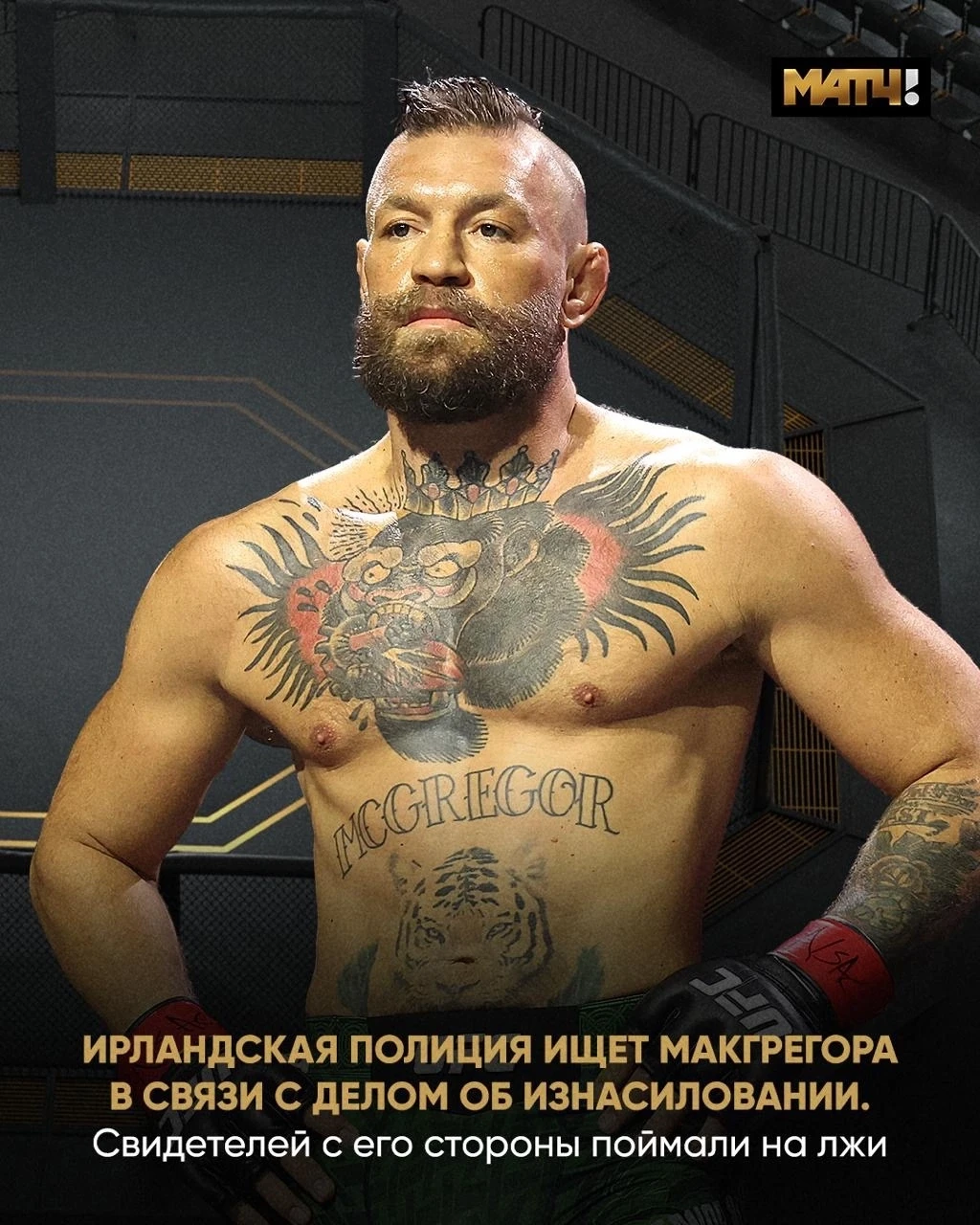 Ирландская полиция разыскивает Макгрегора. Всё для допроса о даче ложных показаний.