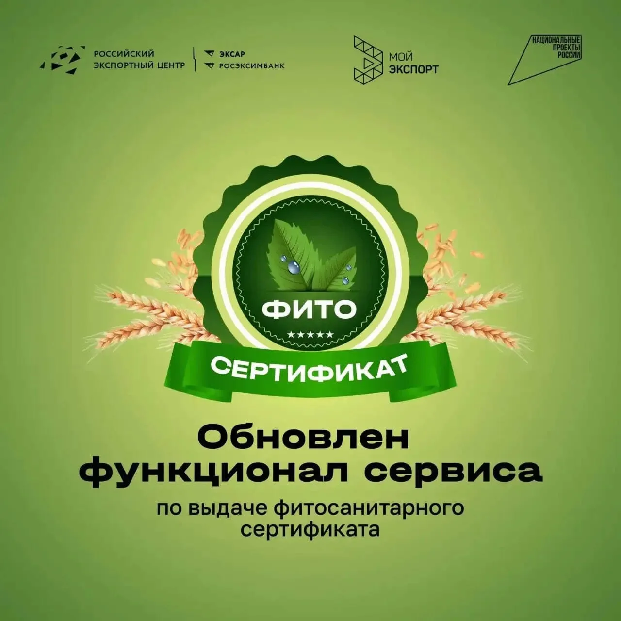 💫 Цифровая платформа «Мой экспорт» работает в рамках национального проекта «Международ...
