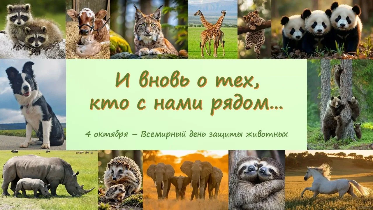 И ВНОВЬ О ТЕХ, КТО С НАМИ РЯДОМ…