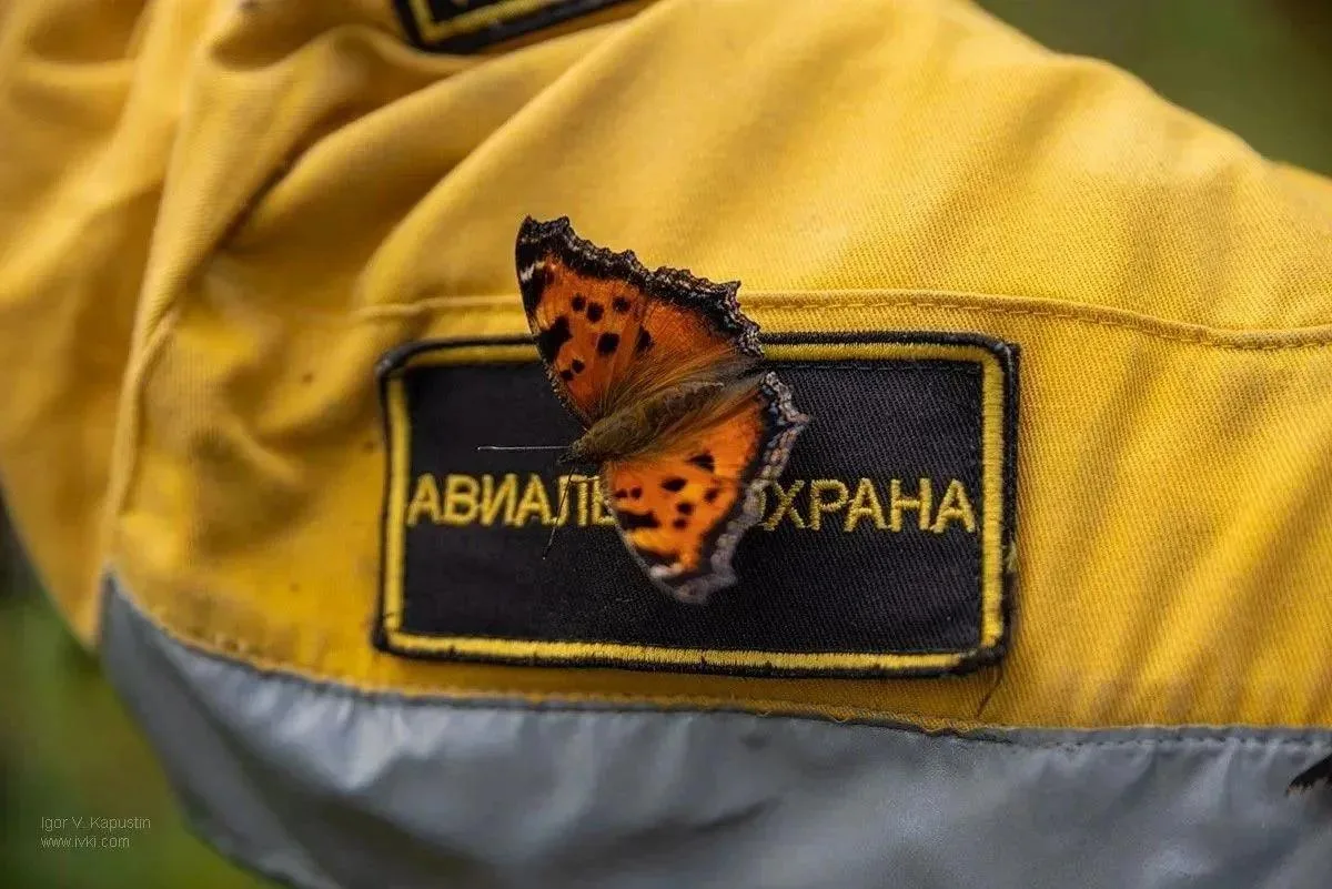 👀 Красота — в глазах смотрящего