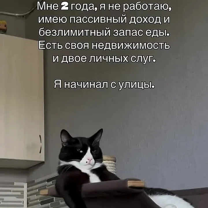 Спор, который я бы хотел проиграть:существует ли пассивный доход?