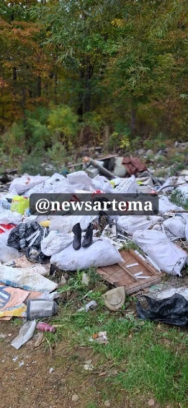 😡 Вместо разноцветных клёнов - свалка мусора и хлама