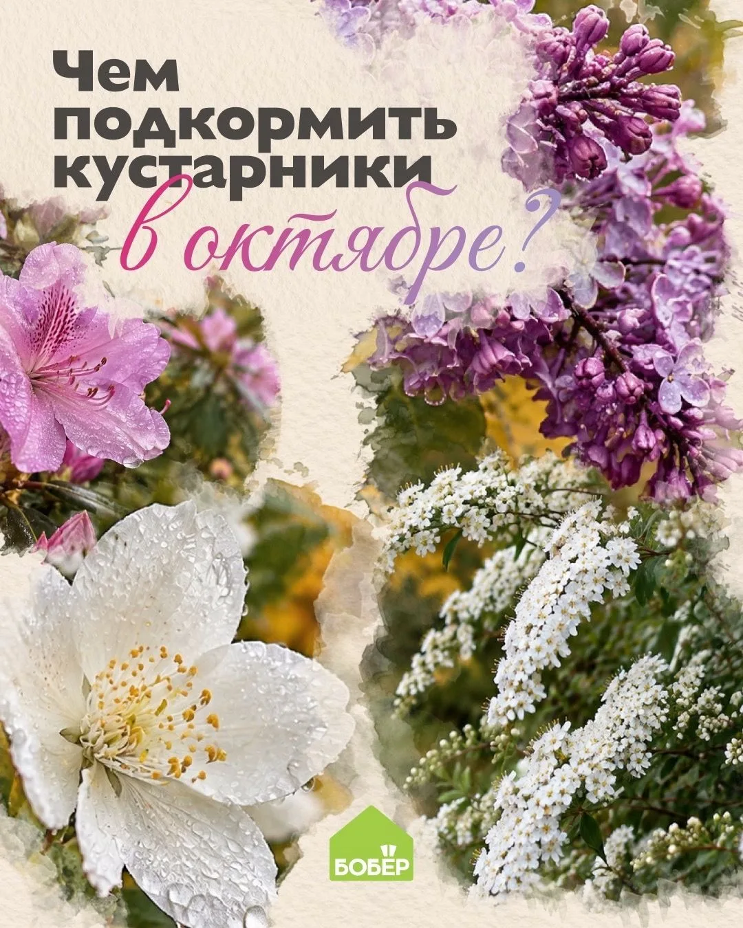 Подкормка поможет укрепить корни и повысить морозостойкость 💚