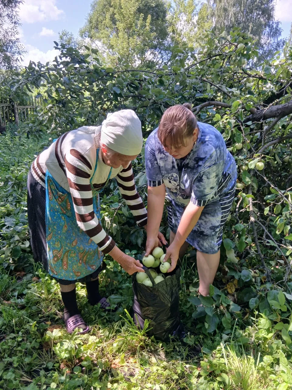 Лето – время готовить запасы на зиму.