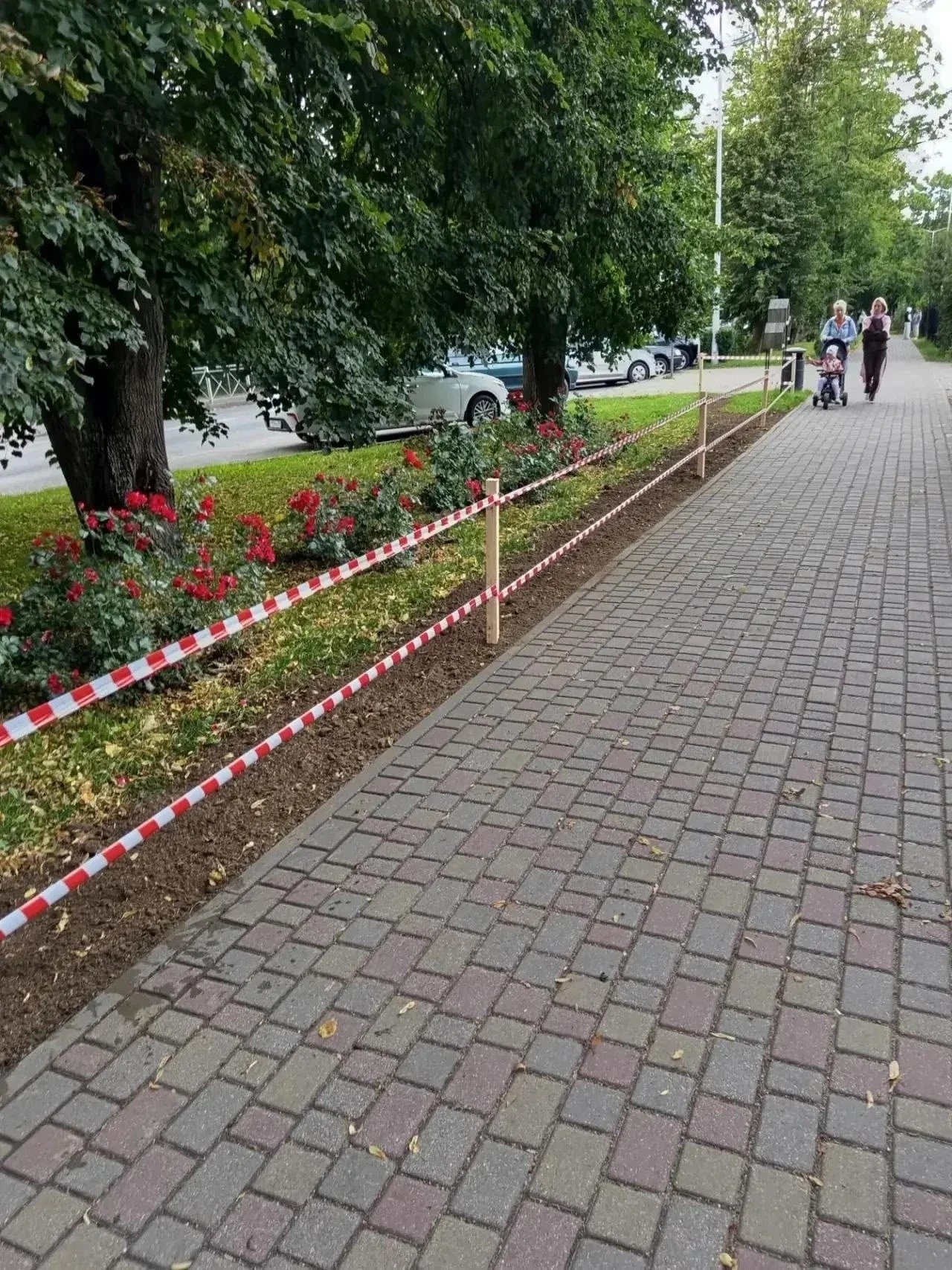 Зеленоградские озеленители засевают зелёные зоны газонной травой

Только на этой неделе специалисты 